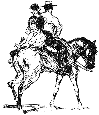 Иллюстрация к книге — Испания со вкусом солнца. Гаспачо для печального рыцаря [i_032.jpg]