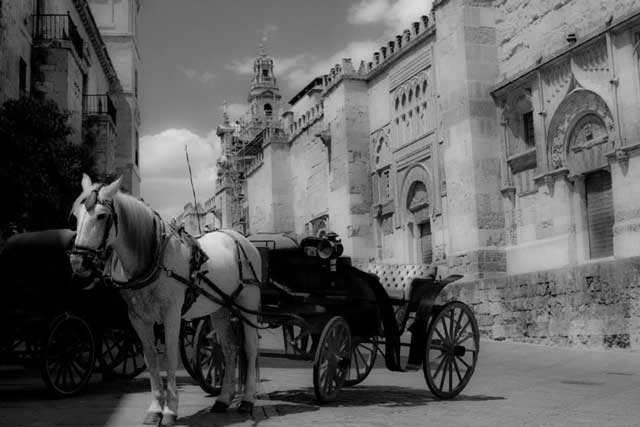 Иллюстрация к книге — Испания со вкусом солнца. Гаспачо для печального рыцаря [i_033.jpg]