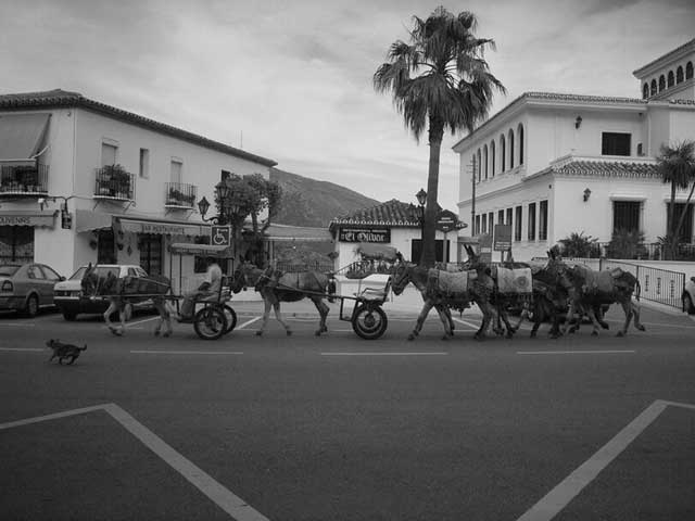 Иллюстрация к книге — Испания со вкусом солнца. Гаспачо для печального рыцаря [i_035.jpg]