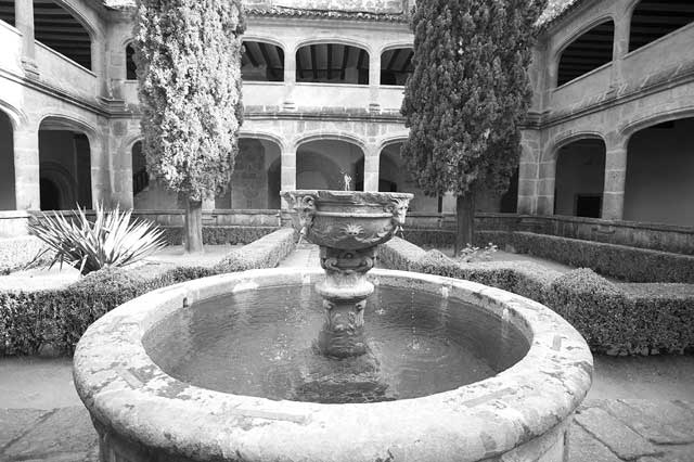 Иллюстрация к книге — Испания со вкусом солнца. Гаспачо для печального рыцаря [i_069.jpg]