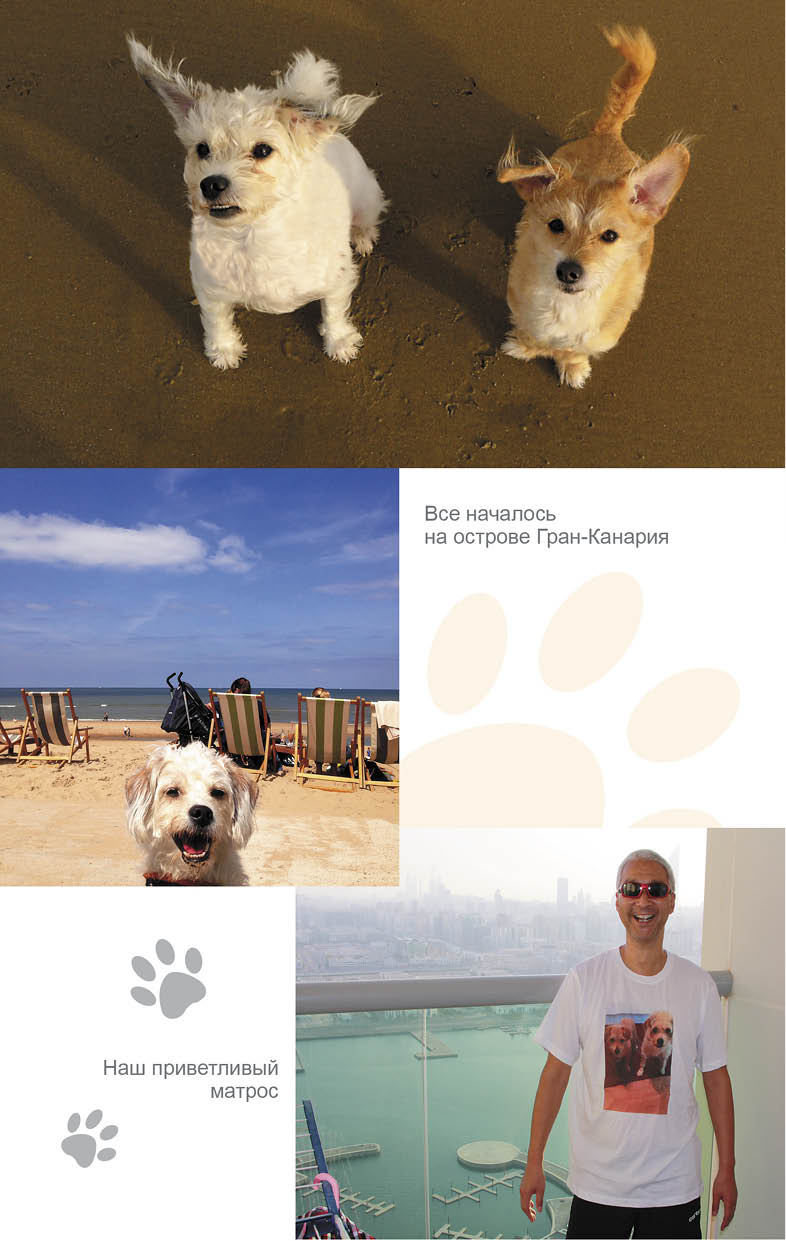 Иллюстрация к книге — Дорога домой [i_002.jpg]