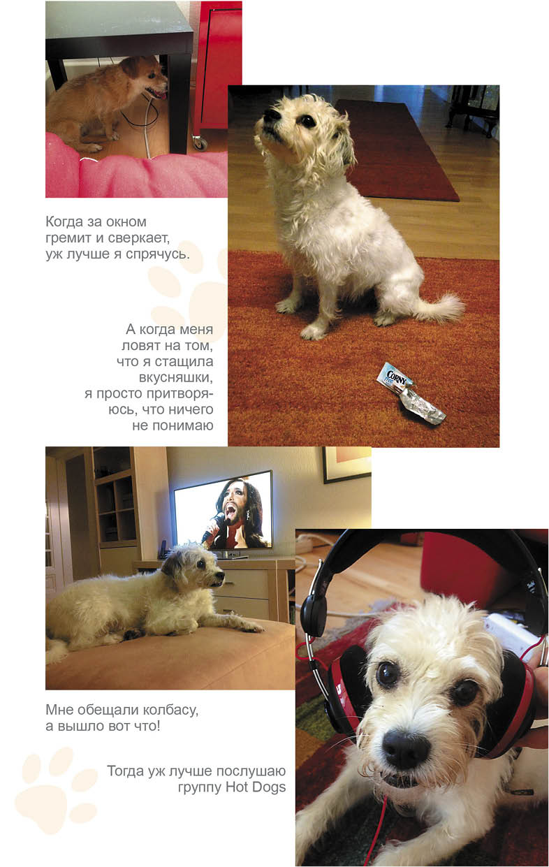 Иллюстрация к книге — Дорога домой [i_005.jpg]