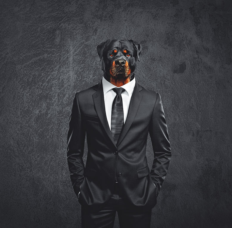 Иллюстрация к книге — Чушь собачья, или Мир на поводке [i_015.jpg]