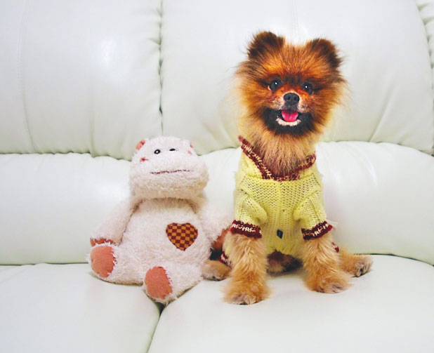 Иллюстрация к книге — Чушь собачья, или Мир на поводке [i_018.jpg]