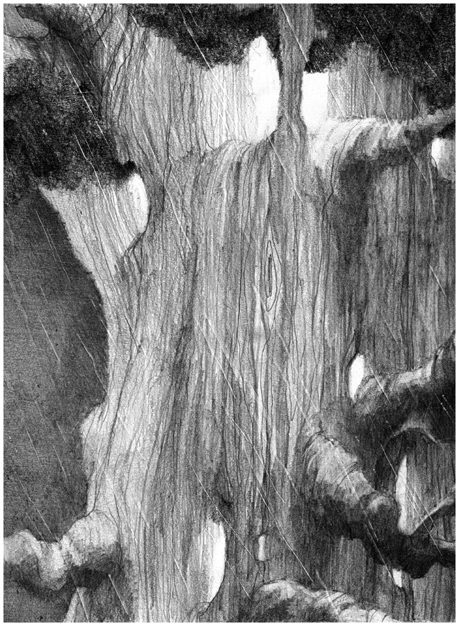 Иллюстрация к книге — Истории Дядюшки Дуба. Книга 1. Встреча [i_012.jpg]