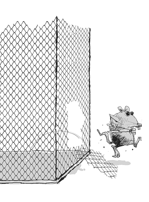 Иллюстрация к книге — Случайный ветеринар. Записки практикующего айболита [i_001.jpg]