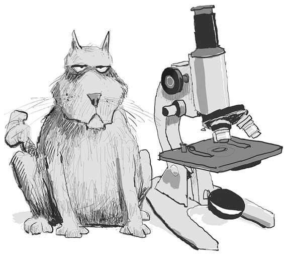 Иллюстрация к книге — Случайный ветеринар. Записки практикующего айболита [i_004.jpg]