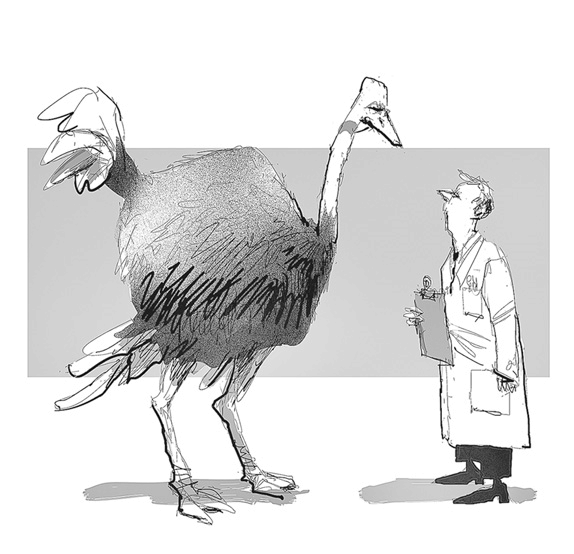 Иллюстрация к книге — Случайный ветеринар. Записки практикующего айболита [i_005.jpg]