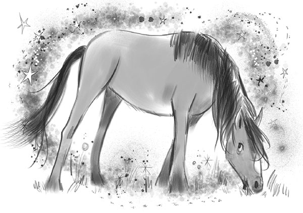 Иллюстрация к книге — София и Рейнбоу [i_051.jpg]