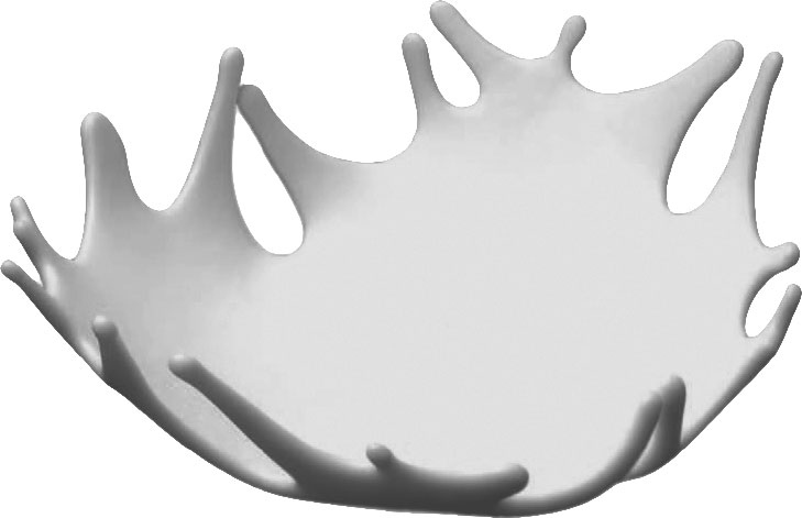 Иллюстрация к книге — Гастрофизика. Новая наука о питании [i_014.jpg]