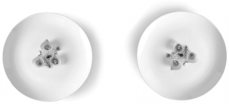 Иллюстрация к книге — Гастрофизика. Новая наука о питании [i_016.jpg]