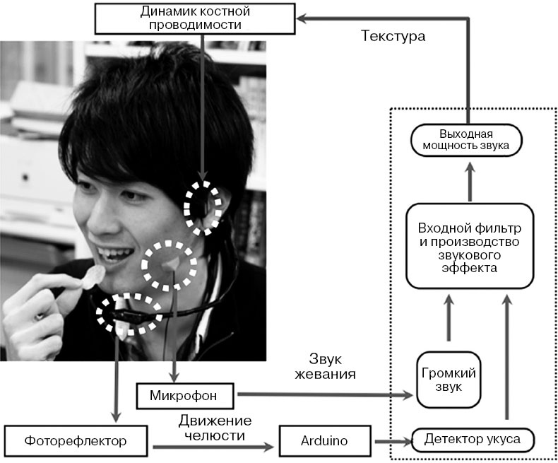 Иллюстрация к книге — Гастрофизика. Новая наука о питании [i_023.jpg]