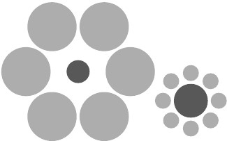 Иллюстрация к книге — Универсалы. Как талантливые дилетанты становятся победителями по жизни [i_003.jpg]