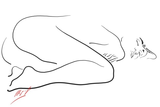 Иллюстрация к книге — Ракушка [image5.jpg]