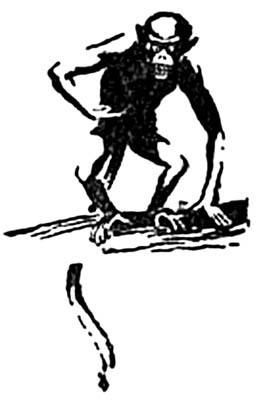 Иллюстрация к книге — Зверь (сборник) [i_014.jpg]