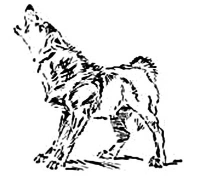 Иллюстрация к книге — Зверь (сборник) [i_024.jpg]