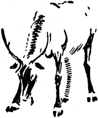 Иллюстрация к книге — Зверь (сборник) [i_026.jpg]