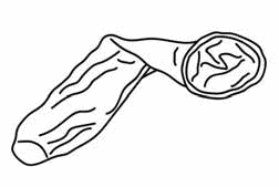 Иллюстрация к книге — Рутина [i_031.jpg]