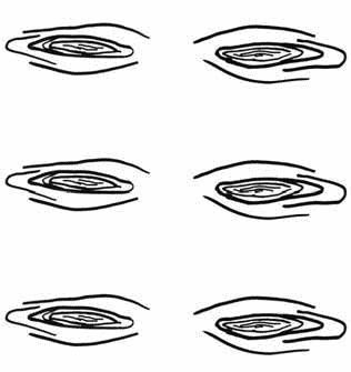 Иллюстрация к книге — Рутина [i_041.jpg]