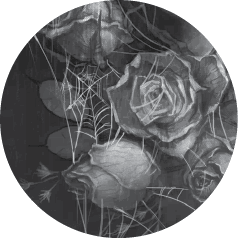 Иллюстрация к книге — Не спи под инжировым деревом [i_001.jpg]