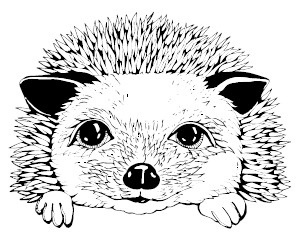 Иллюстрация к книге — 25 граммов счастья. История маленького ежика, который изменил жизнь человека [i_001.jpg]