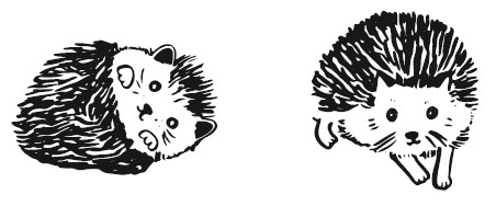 Иллюстрация к книге — 25 граммов счастья. История маленького ежика, который изменил жизнь человека [i_002.jpg]