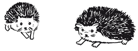 Иллюстрация к книге — 25 граммов счастья. История маленького ежика, который изменил жизнь человека [i_018.jpg]