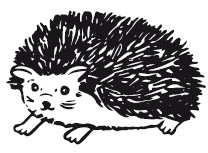 Иллюстрация к книге — 25 граммов счастья. История маленького ежика, который изменил жизнь человека [i_025.jpg]