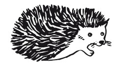 Иллюстрация к книге — 25 граммов счастья. История маленького ежика, который изменил жизнь человека [i_027.jpg]