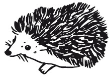 Иллюстрация к книге — 25 граммов счастья. История маленького ежика, который изменил жизнь человека [i_034.jpg]