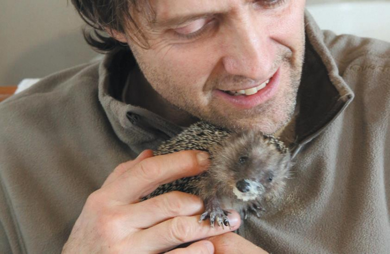 Иллюстрация к книге — 25 граммов счастья. История маленького ежика, который изменил жизнь человека [i_044.jpg]