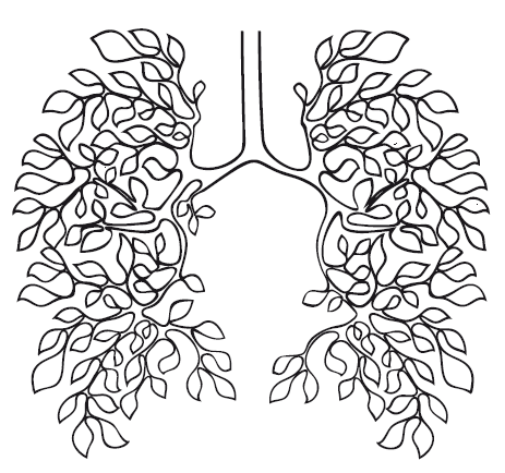 Иллюстрация к книге — Вдох-выдох. Практики осознанного дыхания [i_007.jpg]
