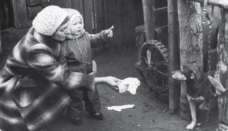 Иллюстрация к книге — Редкая птица [i_018.jpg]