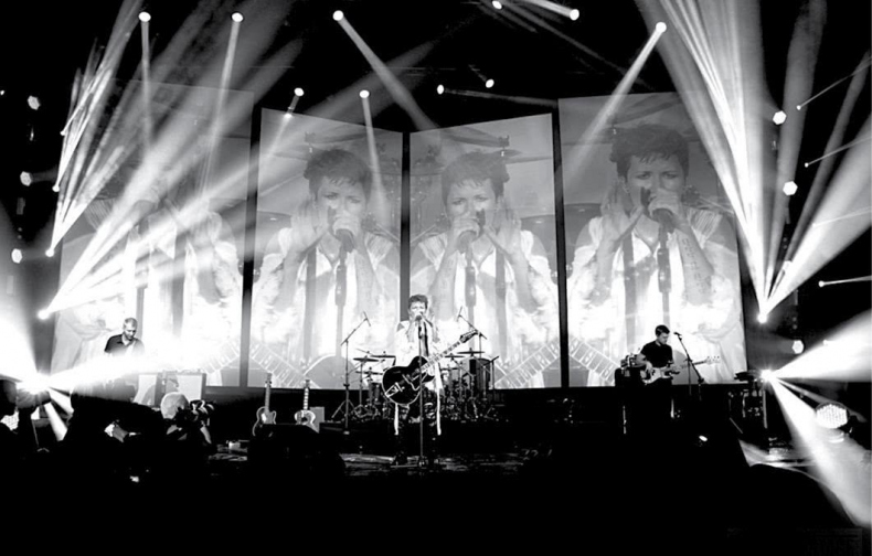 Иллюстрация к книге — Редкая птица [i_173.jpg]