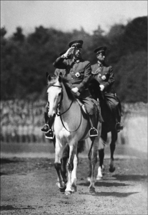 Иллюстрация к книге — История Второй мировой войны. Блицкриг [i_049.jpg]