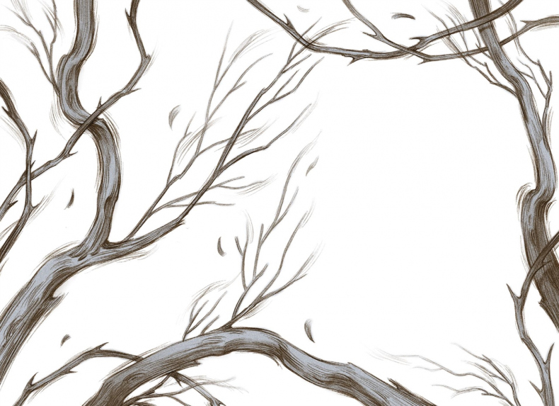 Иллюстрация к книге — Как король Эльфхейма научился ненавидеть истории [i_006.jpg]