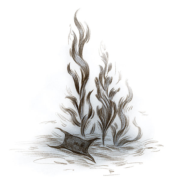 Иллюстрация к книге — Как король Эльфхейма научился ненавидеть истории [i_032.jpg]