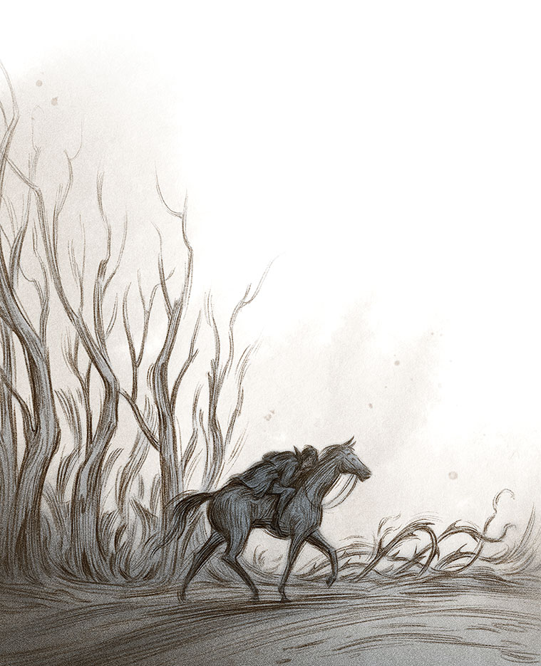 Иллюстрация к книге — Как король Эльфхейма научился ненавидеть истории [i_047.jpg]