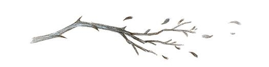 Иллюстрация к книге — Как король Эльфхейма научился ненавидеть истории [i_060.jpg]