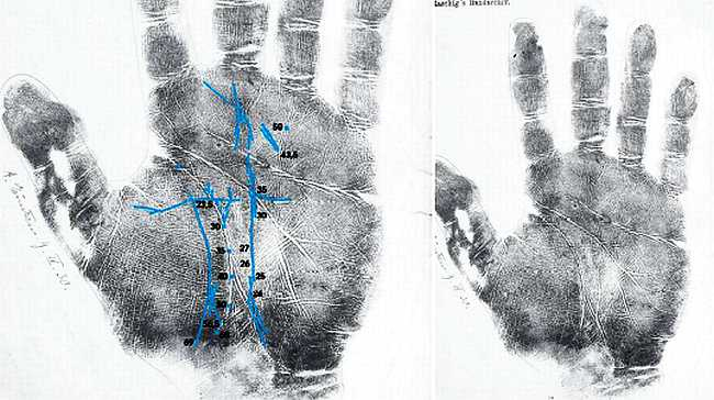 Иллюстрация к книге — Психология руки. Полный обзор теории и практики хиромантии [_01.jpg]