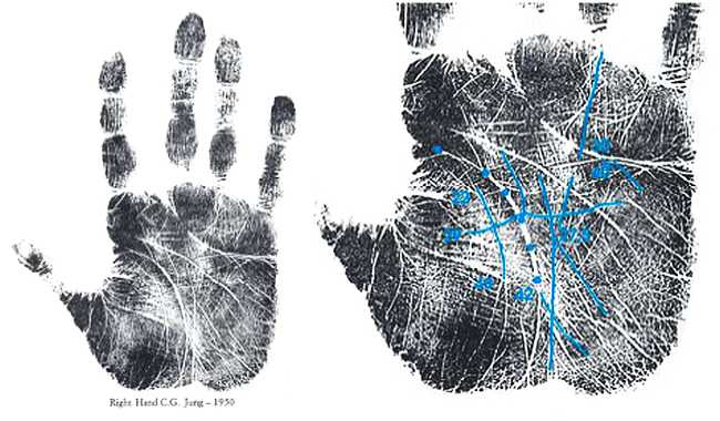 Иллюстрация к книге — Психология руки. Полный обзор теории и практики хиромантии [_02.jpg]