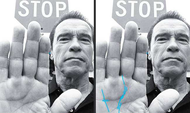 Иллюстрация к книге — Психология руки. Полный обзор теории и практики хиромантии [_04.jpg]