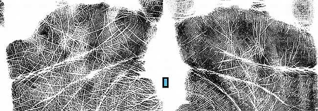 Иллюстрация к книге — Психология руки. Полный обзор теории и практики хиромантии [_12.jpg]