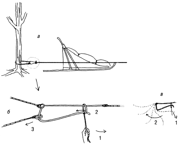 Иллюстрация к книге — Дикая одиссея. 6 000 км по Сибири, Китаю и Монголии с моими собаками [i_003.jpg]