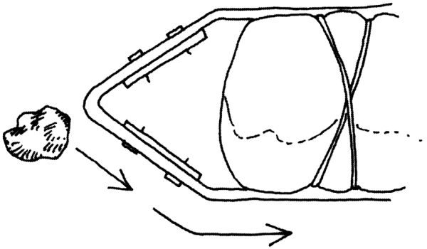 Иллюстрация к книге — Дикая одиссея. 6 000 км по Сибири, Китаю и Монголии с моими собаками [i_004.jpg]