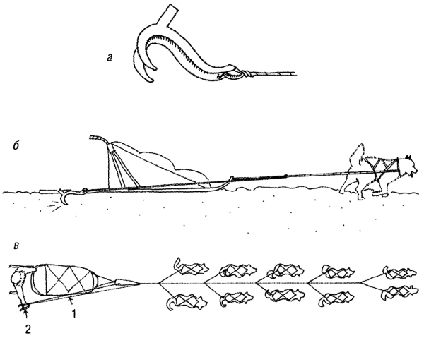 Иллюстрация к книге — Дикая одиссея. 6 000 км по Сибири, Китаю и Монголии с моими собаками [i_005.jpg]