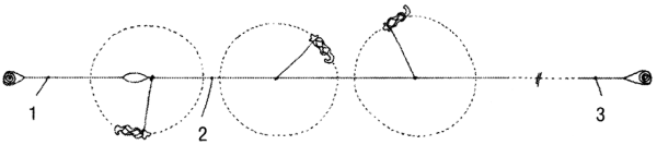 Иллюстрация к книге — Дикая одиссея. 6 000 км по Сибири, Китаю и Монголии с моими собаками [i_009.jpg]