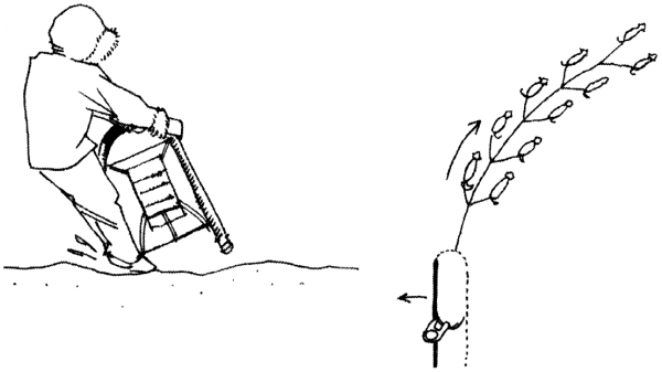 Иллюстрация к книге — Дикая одиссея. 6 000 км по Сибири, Китаю и Монголии с моими собаками [i_013.jpg]