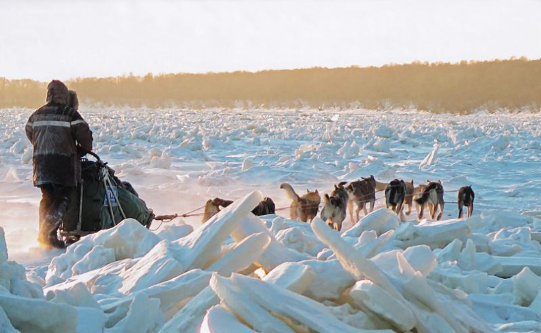 Иллюстрация к книге — Дикая одиссея. 6 000 км по Сибири, Китаю и Монголии с моими собаками [i_015.jpg]