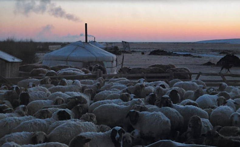 Иллюстрация к книге — Дикая одиссея. 6 000 км по Сибири, Китаю и Монголии с моими собаками [i_022.jpg]